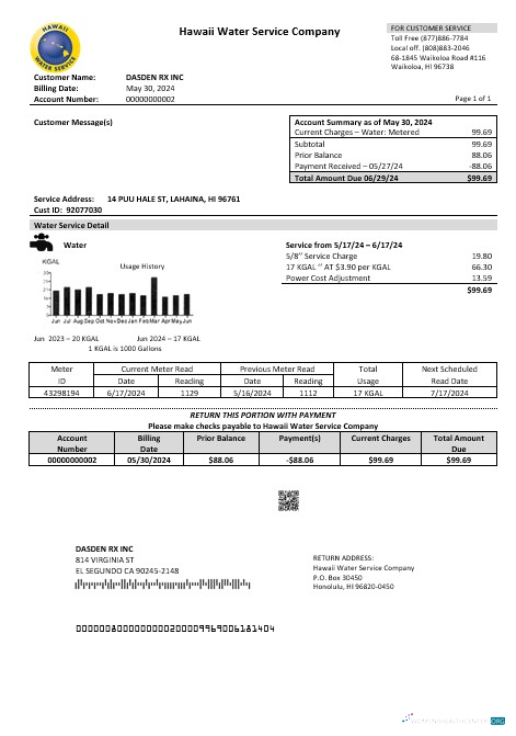 USA Hawaii Water Service Company business utility bill template in Word and PDF formats